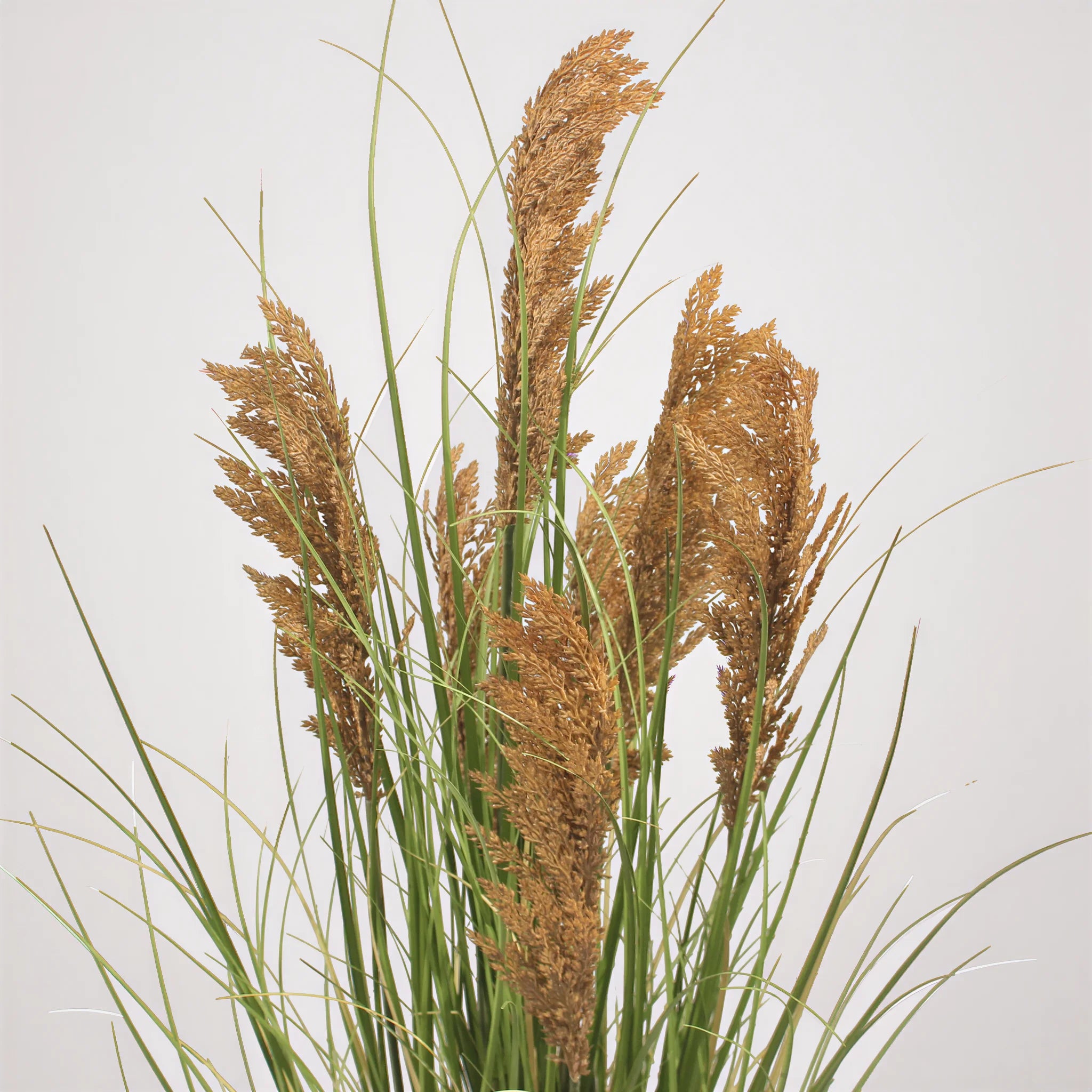 Ravok - Künstliche Pampasgras Pflanze Cortaderia aus PVC & PE mit Metallstiel und Zementbasis, Grün und Braun