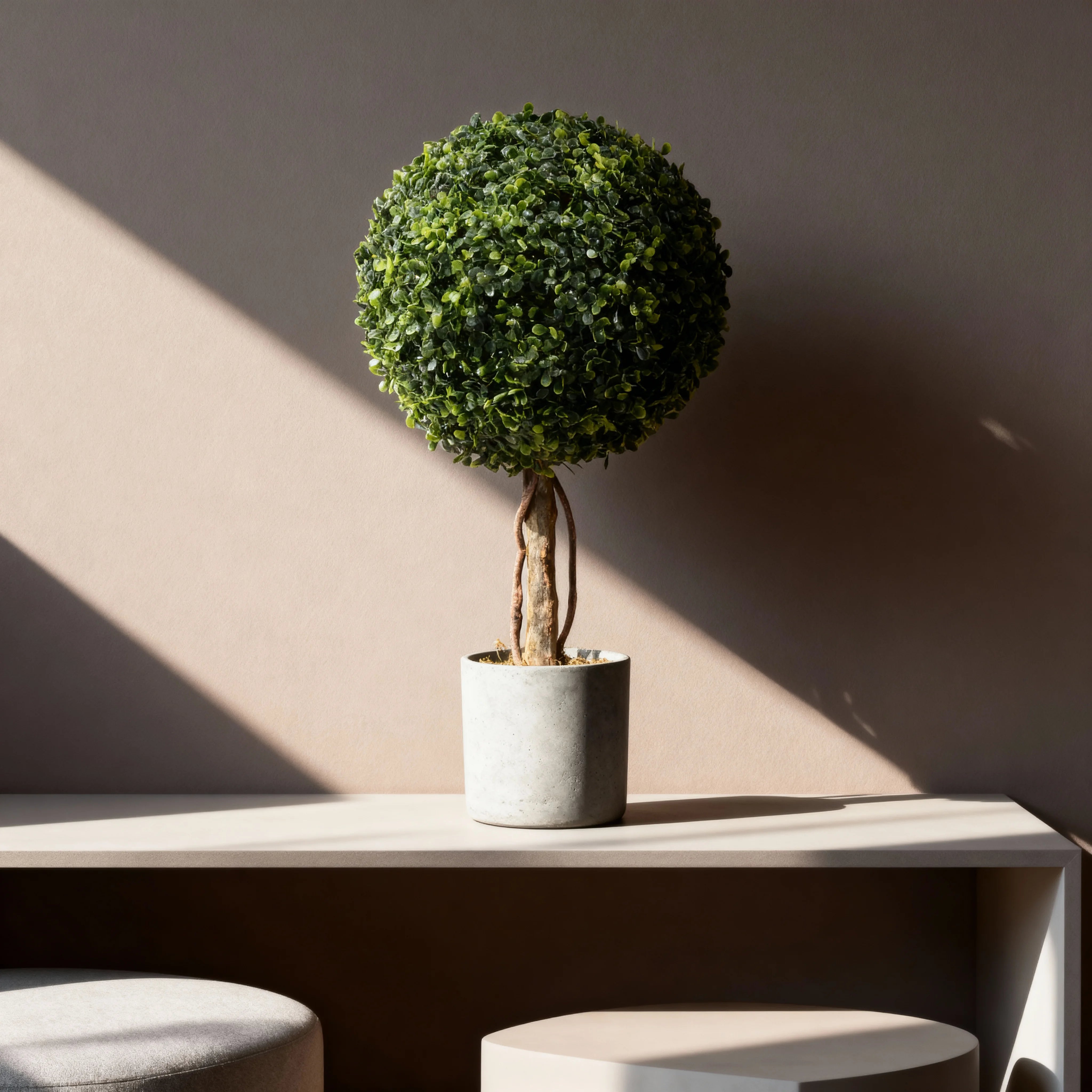 Nayem - Künstliche Buchsbaum Pflanze aus PVC & PE mit Metallstiel und Zementbasis, Grün und Braun