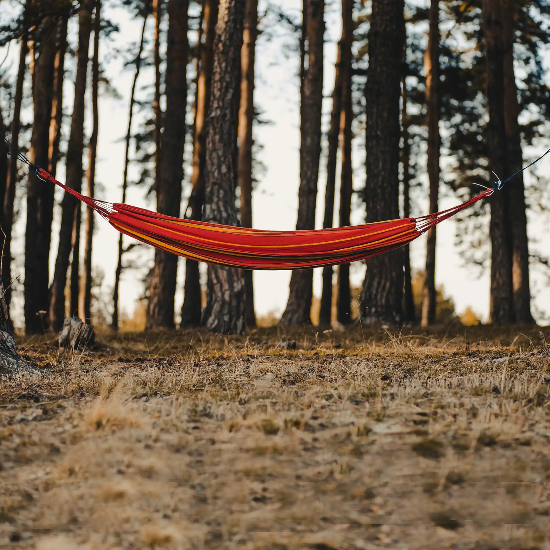 Garoafa - Amaca da giardino a righe arancioni e fuxia in policotone