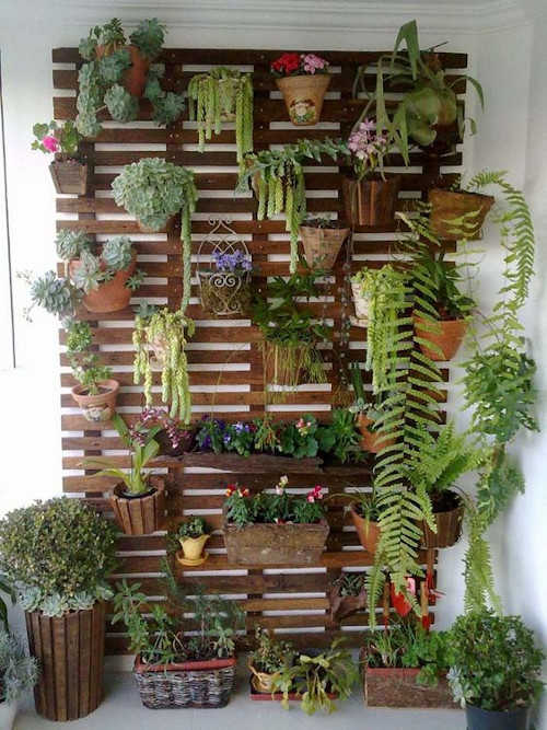 Come creare un giardino verticale in casa