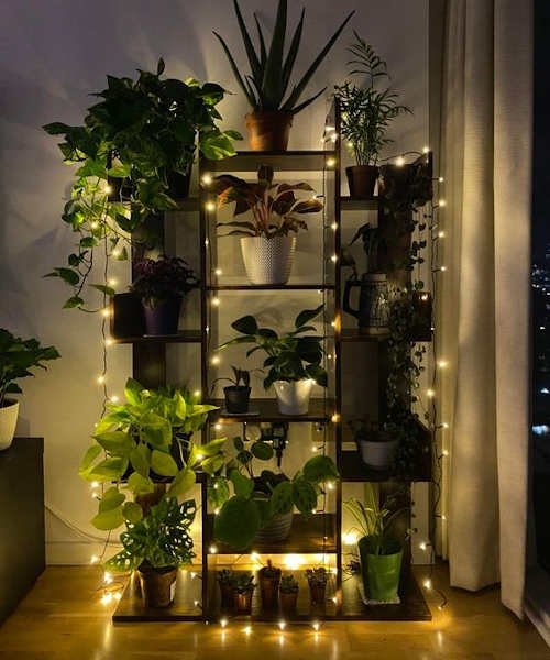 Giardino verticale con luci