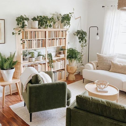 Libreria in salotto con piante