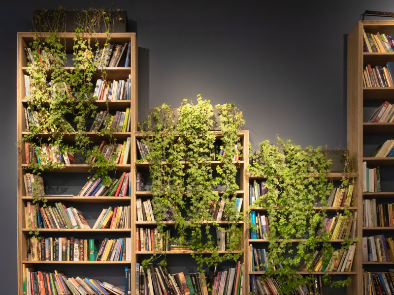 Come riempire una libreria con le piante