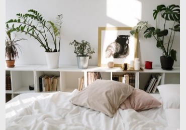 Bookcase in the bedroom: 4 original ideas (plus one)