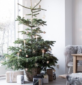 Nordic style Christmas: the hygge magic of Scandinavian winters!