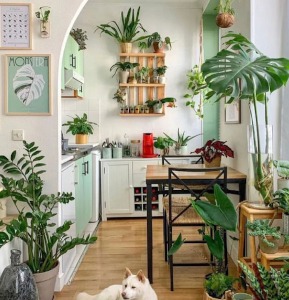 Muebles con plantas: ¡todo lo que necesitas saber!